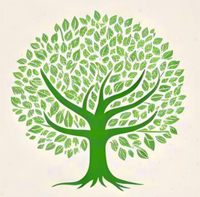 Ebikozesebwa mu Everwood